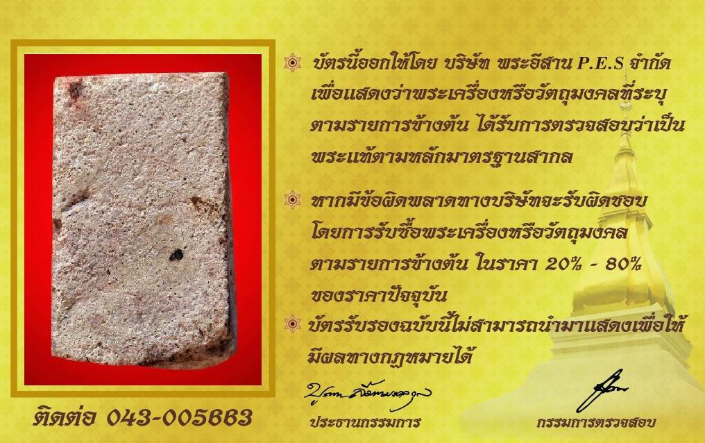รูปด้านหลัง