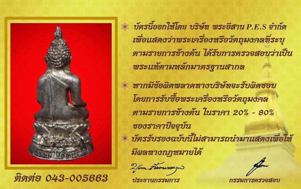 รูปด้านหลัง