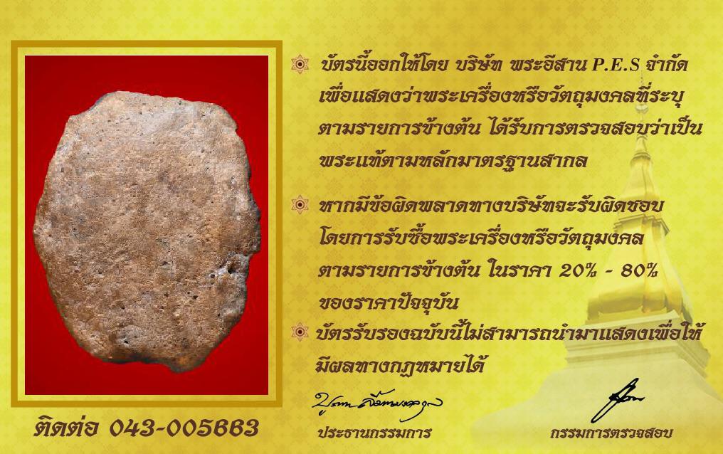 รูปด้านหลัง