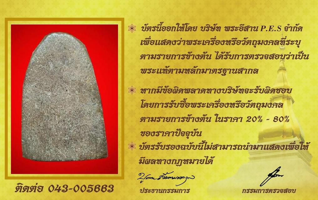 รูปด้านหลัง
