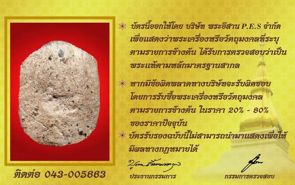 รูปด้านหลัง