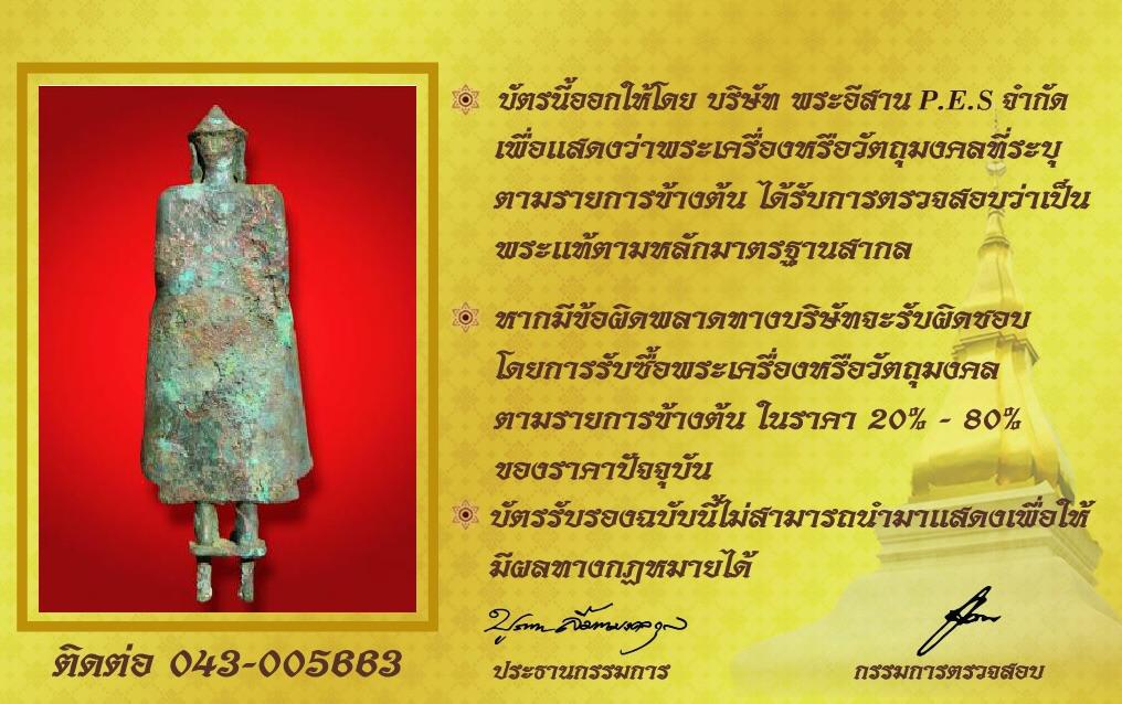 รูปด้านหลัง