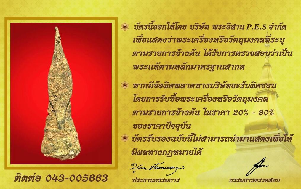 รูปด้านหลัง