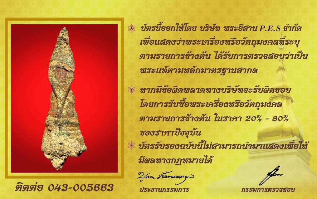 รูปด้านหลัง