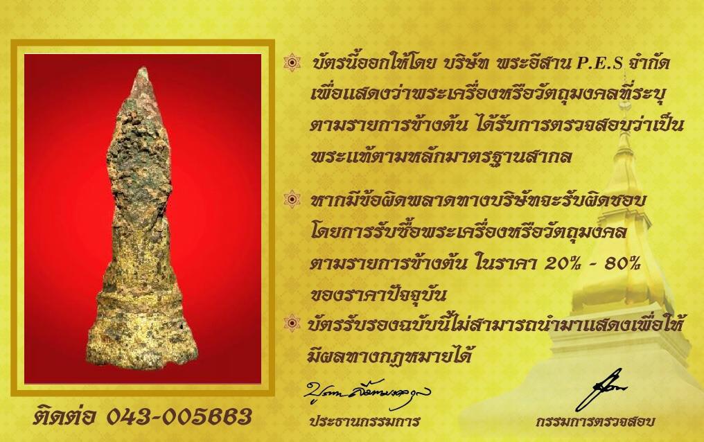 รูปด้านหลัง