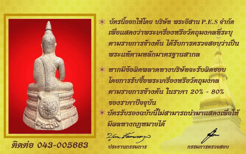 รูปด้านหลัง