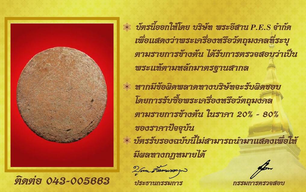 รูปด้านหลัง