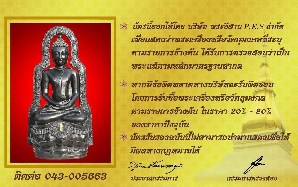 รูปด้านหลัง