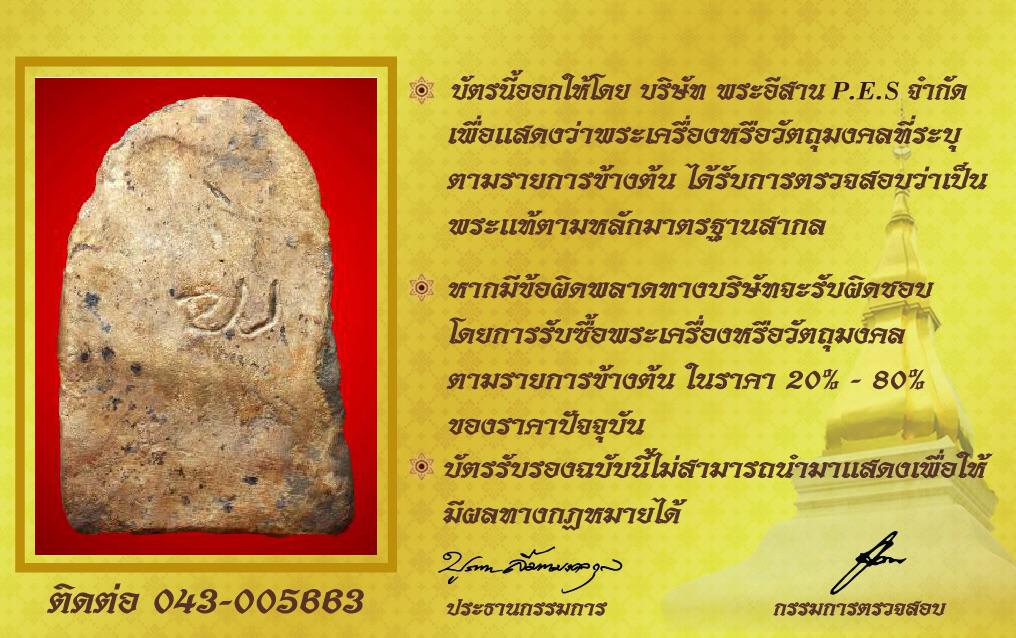 รูปด้านหลัง