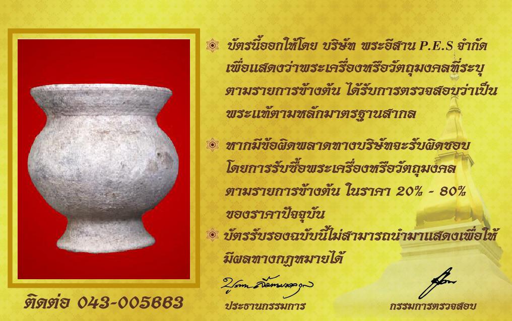 รูปด้านหลัง