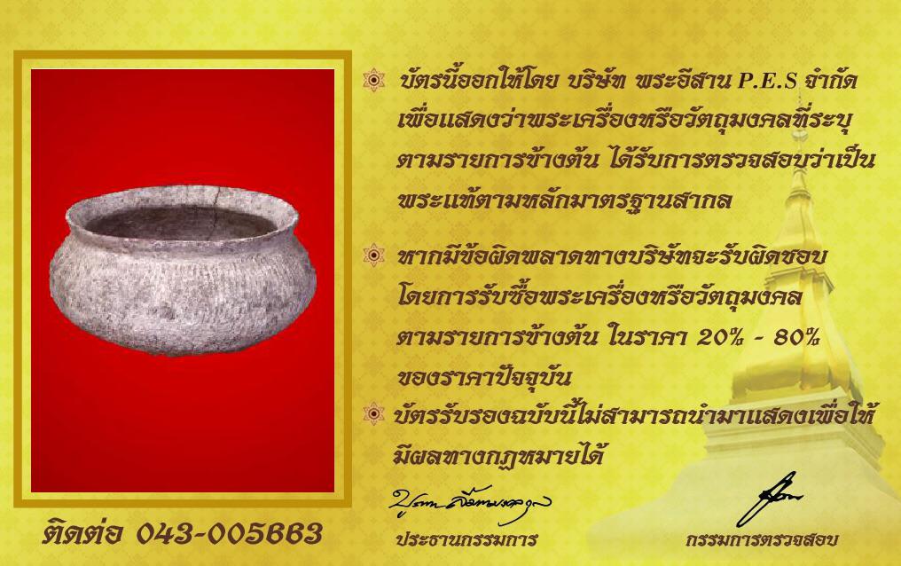 รูปด้านหลัง
