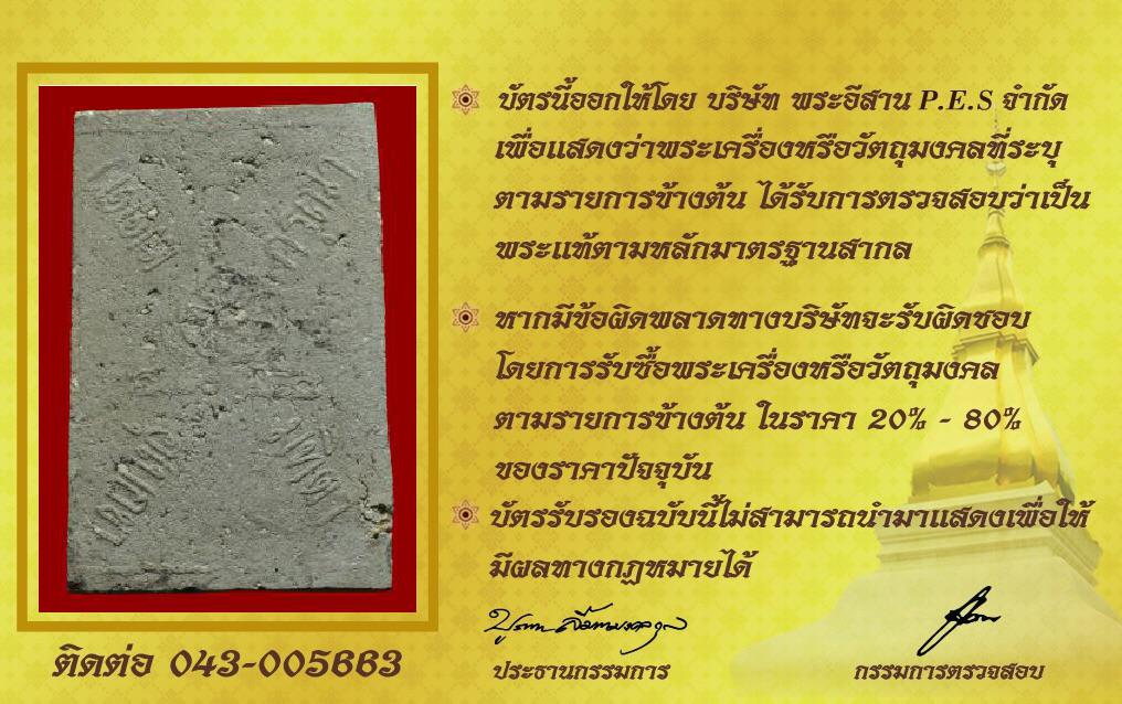 รูปด้านหลัง
