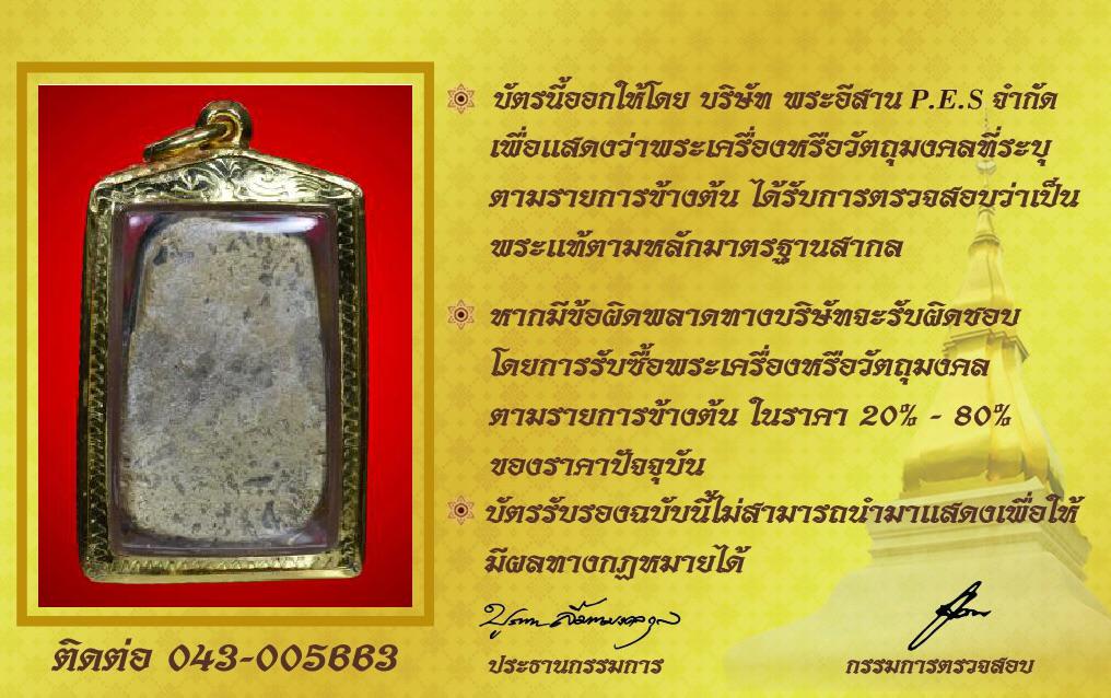 รูปด้านหลัง
