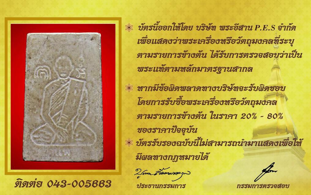 รูปด้านหลัง