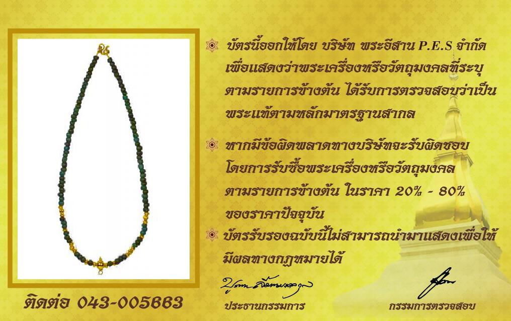 รูปด้านหลัง