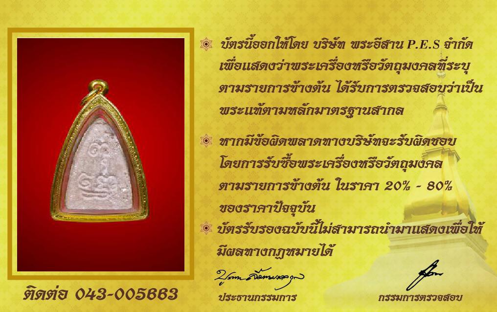 รูปด้านหลัง