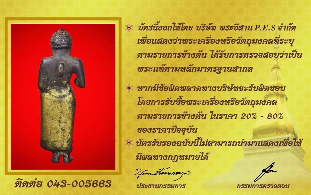 รูปด้านหลัง
