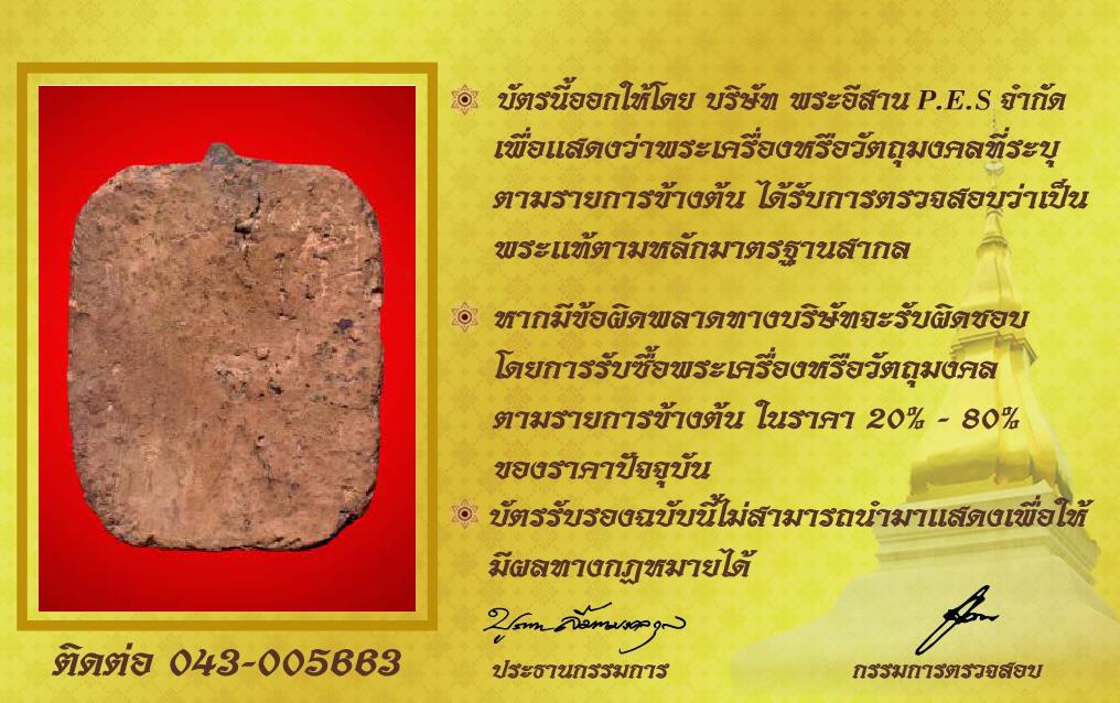 รูปด้านหลัง