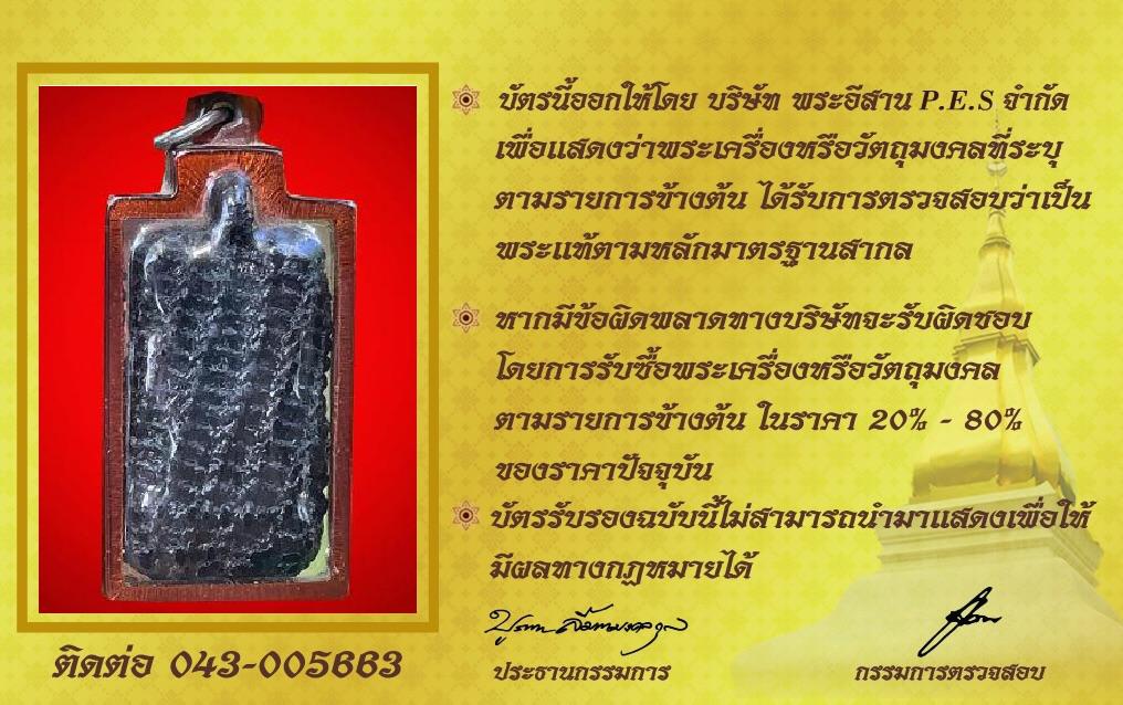 รูปด้านหลัง